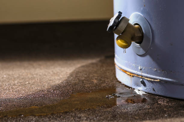 Sewage cleanup and water damage restoration in Parker, FL