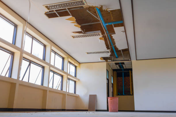 Best Local water damage restoration  in Parker, FL