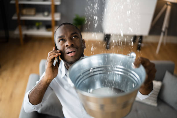 Best Residential water damage restoration  in Parker, FL