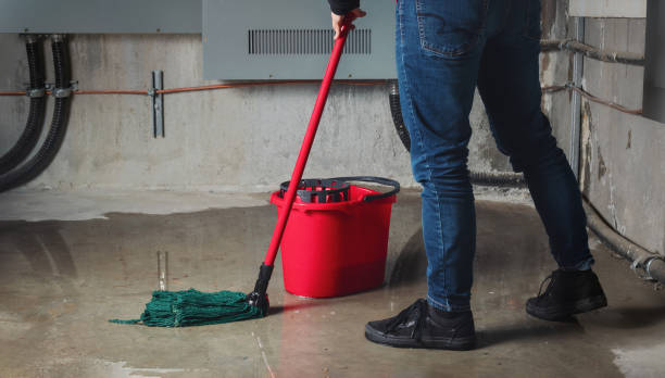 Best Emergency water damage restoration  in Parker, FL