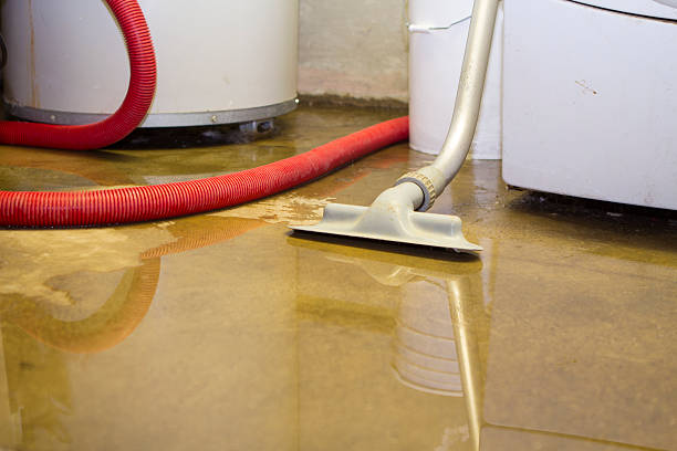 Best Residential water damage restoration  in Parker, FL