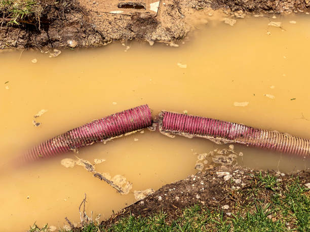 Best Flood restoration services  in Parker, FL