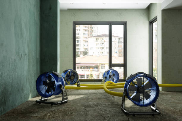Best Professional water damage repair  in Parker, FL